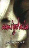 Amigdala