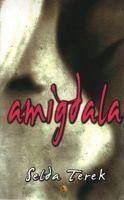 Cover Amigdala