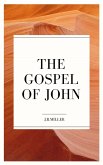 From the Gospel of John (eBook, ePUB)