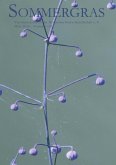 Sommergras 128 (eBook, ePUB) Sommergras 128 (eBook, ePUB)