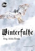 Winterfalke (eBook, ePUB)