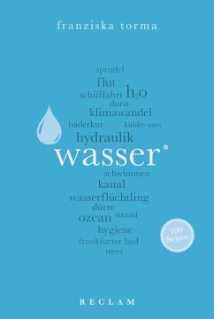 Wasser. 100 Seiten (eBook, ePUB) - Torma, Franziska