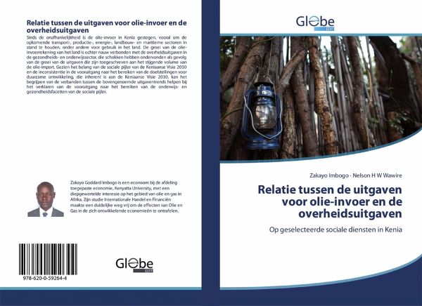 Relatie tussen de uitgaven voor olie-invoer en de overheidsuitgaven