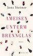 Ameisen unterm Brennglas - Bild 1