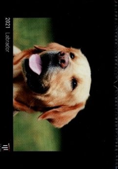 Labrador 2021