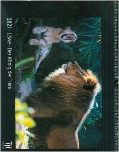 Löwe - Der König der Tiere 2021 - Black Edition - Timokrates Kalender, Wandkalender, Bildkalender - DIN A3 (42 x 30 cm)