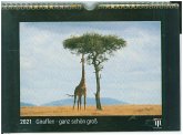 Giraffen - ganz schön groß 2021 - Black Edition - Timokrates Kalender, Wandkalender, Bildkalender - DIN A4 (ca. 30 x 21 cm)