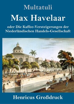 Max Havelaar (Großdruck) - Multatuli