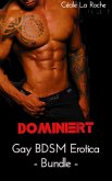 Dominiert (eBook, ePUB)