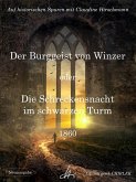 Der Burggeist von Winzer oder Die Schreckensnacht im schwarzen Turm (eBook, ePUB)