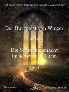 Der Burggeist von Winzer oder Die Schreckensnacht im schwarzen Turm (eBook, ePUB)