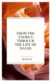 From the Exodus through the Life of David (eBook, ePUB)