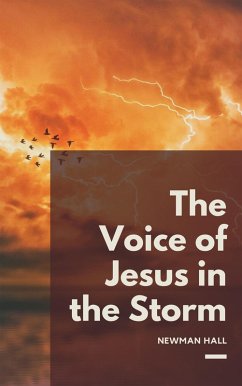 Cover The Voice of Jesus in the Storm (eBook, ePUB)