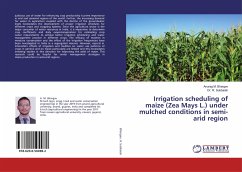 Irrigation scheduling of maize (Zea Mays L.) under mulched conditions in semi-arid region