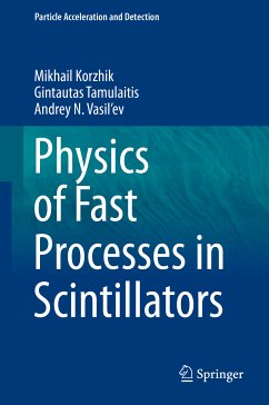 Physics of Fast Processes in Scintillators (eBook, PDF) - Korzhik, Mikhail; Tamulaitis, Gintautas; Vasil'ev, Andrey N.