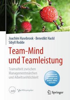 Team-Mind und Teamleistung (eBook, PDF) - Hasebrook, Joachim; Hackl, Benedikt; Rodde, Sibyll