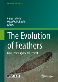 The Evolution of Feathers (eBook, PDF)