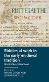 Riddles at work in the early medieval tradition (eBook, ePUB)
