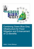 Combining Green-Blue-Grey Infrastructure for Flood Mitigation and Enhancement of Co-Benfits (eBook, PDF)