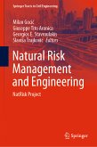 Natural Risk Management and Engineering (eBook, PDF)