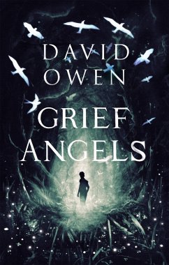 Grief Angels - Owen, David
