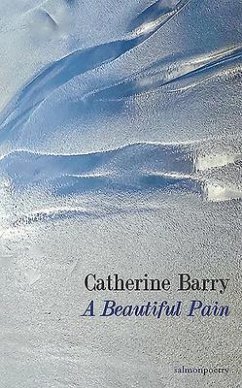 A Beautiful Pain - Barry, Catherine