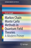 Markov Chain Monte Carlo Methods in Quantum Field Theories