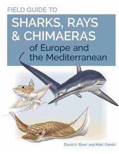 Field Guide to Sharks, Rays & Chimaeras of Europe and the Mediterranean - Ebert, Dr. David A.; Dando, Marc