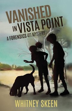 Vanished in Vista Point - Skeen, Whitney V