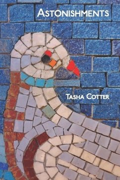 Astonishments - Cotter, Tasha