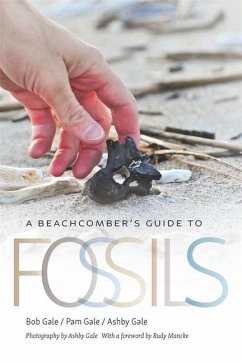 A Beachcomber's Guide to Fossils - Gale, Bob; Gale, Pam