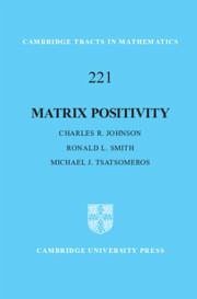 Matrix Positivity - Johnson, Charles R; Smith, Ronald L; Tsatsomeros, Michael J