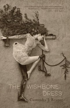 Cover The Wishbone Dress