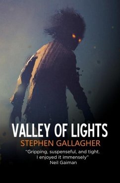 Valley of Lights - Gallagher, Stephen