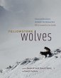 Yellowstone Wolves - Bild 1