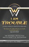 I Am Trouble: A Call to Widows to Disturb the Status Quo