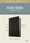 KJV Large Print Thinline Reference Bible, Filament Enabled Edition (Red Letter, Leatherlike, Black/Onyx)