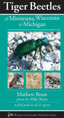 Tiger Beetles of Minnesota, Wisconsin & Michigan - Brust, Mathew