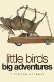 Little Birds Big Adventures: The Bird Collage Art of Vivienne Strauss