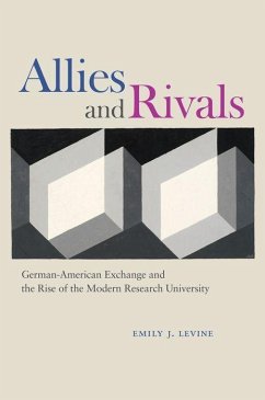 Allies and Rivals - Levine, Emily J.