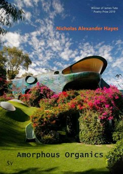 Amorphous Organics - Hayes, Nicholas Alexander