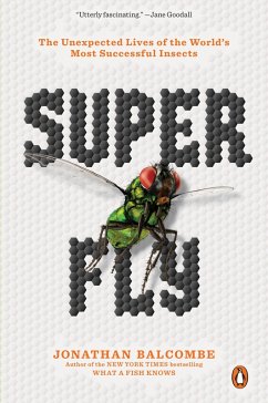 Super Fly (eBook, ePUB) - Balcombe, Jonathan