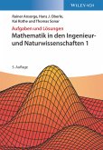 Mathematik in den Ingenieur- und Naturwissenschaften 1 (eBook, PDF)