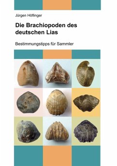 Die Brachiopoden des deutschen Lias (eBook, ePUB)