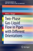 Two-Phase Gas-Liquid Flow in Pipes with Different Orientations (eBook, PDF)