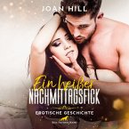 Ein heißer Nachmittagsfick   Erotik Audio Story   Erotisches Hörbuch (MP3-Download)