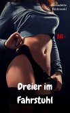 Dreier im Fahrstuhl (eBook, ePUB)