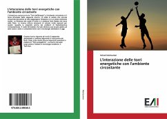 L'interazione delle torri energetiche con l'ambiente circostante - Merksamer, Itzhak