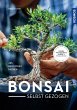 Bonsai selbst gezogen - Bild 1