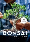Bonsai selbst gezogen